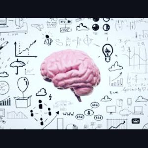 12940836_1801408526746724_1506381798_n