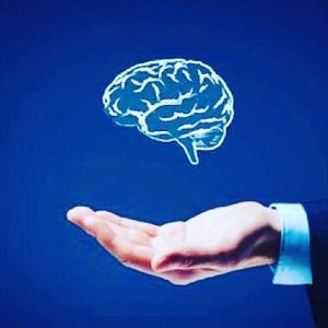 12950361_267785606892531_1600565902_n