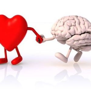 12960023_1734565680099630_934842620_n