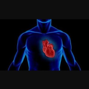 13098919_213723512343334_1341254254_n