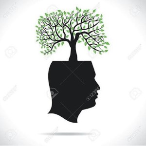 13098946_549082385270211_1127699276_n