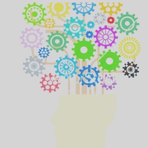 13102423_1008402879228120_885793315_n